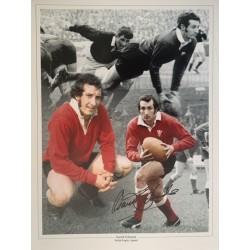 Gareth Edwards signed 16x12 Welsh rugby montage
