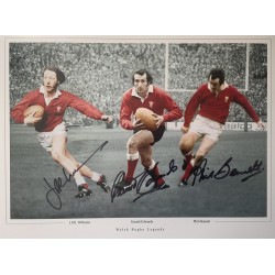 Gareth Edwards, Phil Bennett & JPR Williams triple signed 16x12 Welsh rugby montage