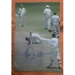 Brian Lara signed 12x8 West Indies colour photo
