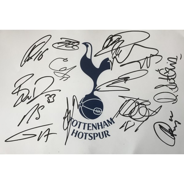 Tottenham multi signed 12x8 photo signed by some of squad 2018/19 Tottenham multi signed 12x8 photo signed by some of squad 2018/19