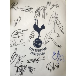  Tottenham multi signed 16x12 photo signed by most of squad 2018/19 version 2