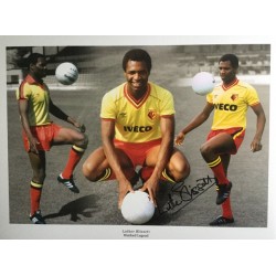 Luther Blissett signed 16x12 Watford montage photo