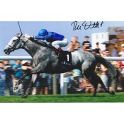 Horse Racing