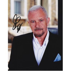 David Essex signed photo ( image A )